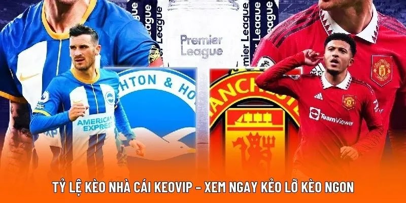 ty-le-keo-nha-cai-keovip--xem-ngay-keo-lo-keo-ngon-882