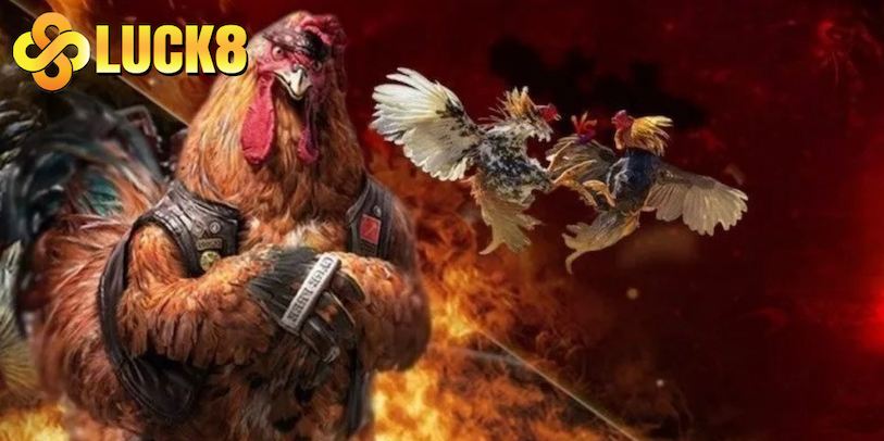 da-ga-luck8--san-choi-dang-cap-cho-dan-me-ga-choi-918